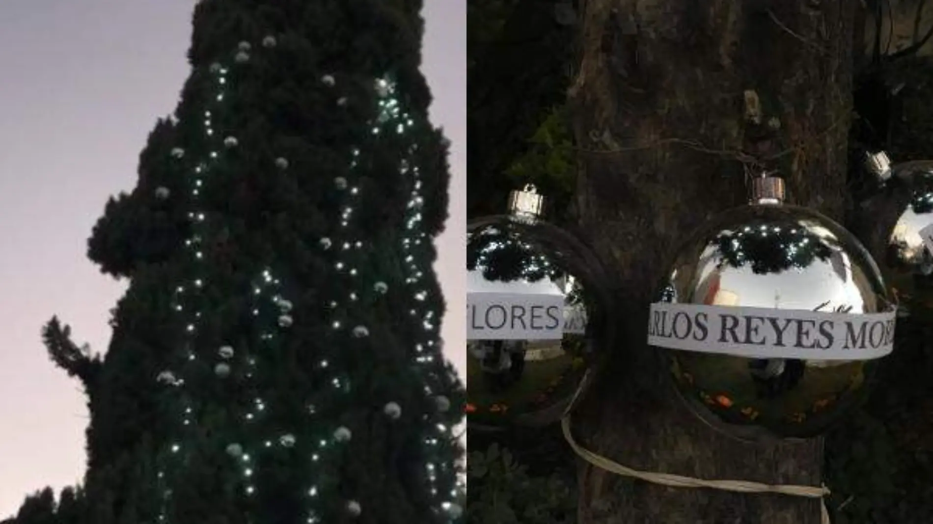 Arbol muertos covid